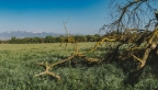 Preserve with Sierra Nevada: 734x416